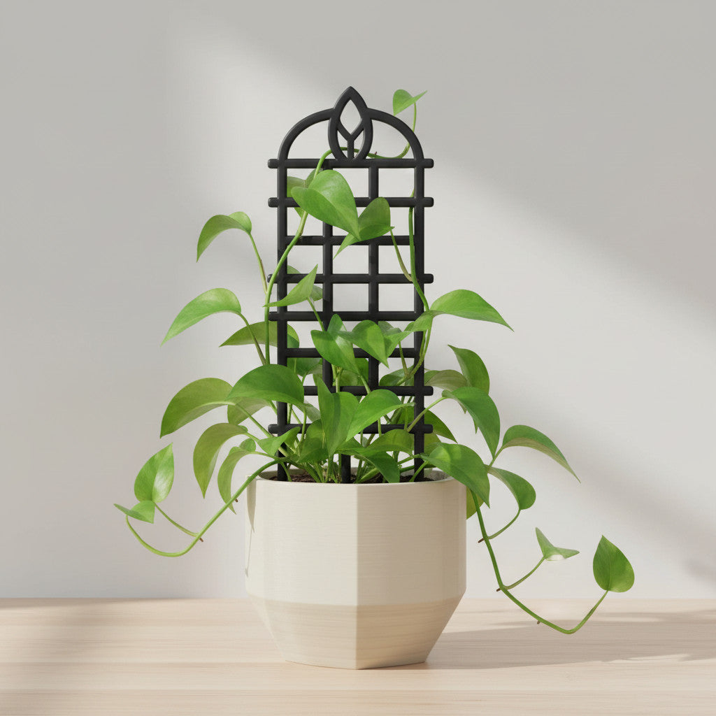 Black Arbora arched plant trellis supporting a climbing houseplant in a white pot