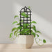 Black Arbora arched plant trellis supporting a climbing houseplant in a white pot