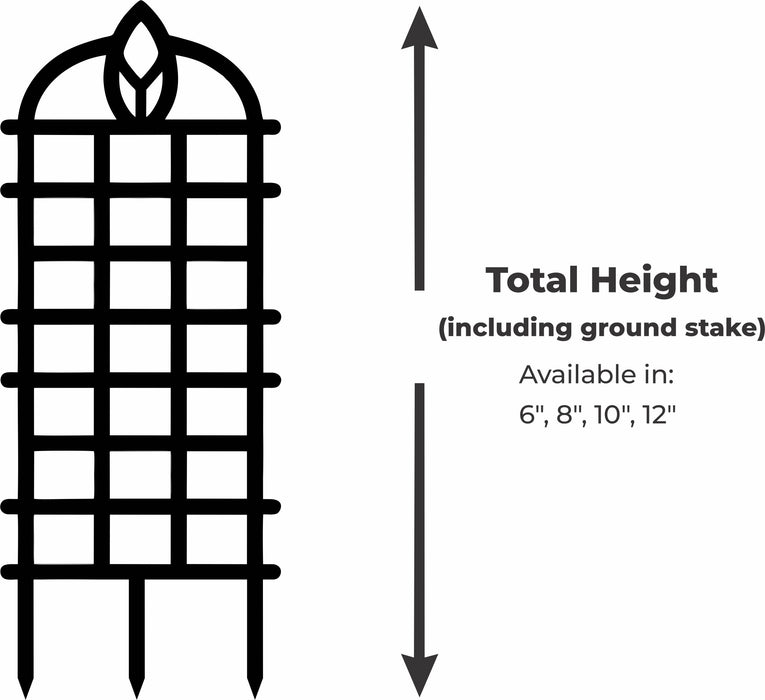 Arbora arched plant trellis size guide showing 6, 8, 10, and 12 inch height options