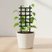 Black Grida grid plant trellis supporting a climbing houseplant in a white pot