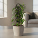 “Loom” plant trellis for indoor climbing plants