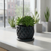 Geometric 3D Printed Planter "Prizma"  Modern Faceted Pot | Multicolor or Single Color Design