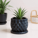 Geometric 3D Printed Planter "Prizma"  Modern Faceted Pot | Multicolor or Single Color Design