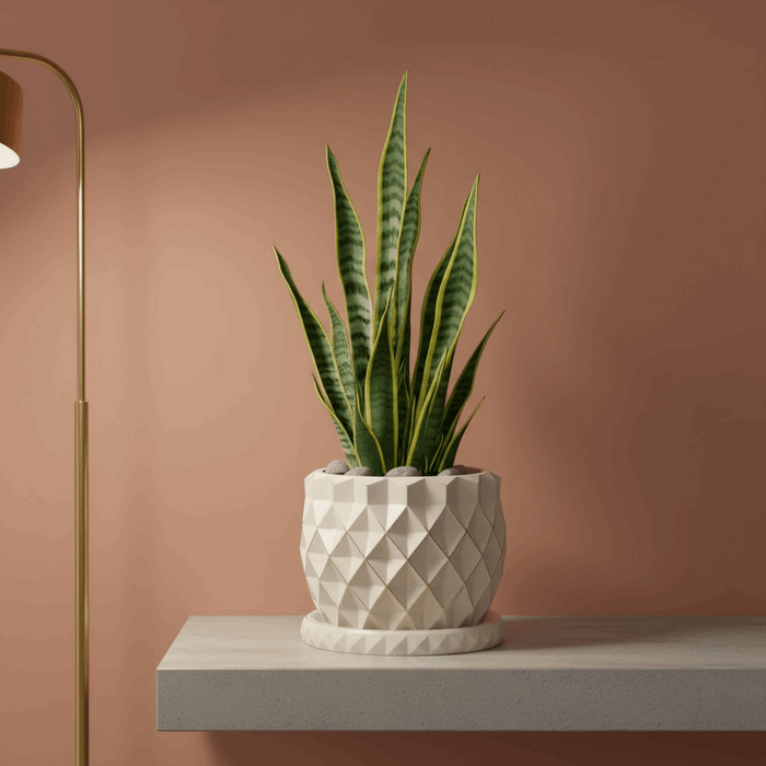 Geometric 3D Printed Planter "Prizma"  Modern Faceted Pot | Multicolor or Single Color Design