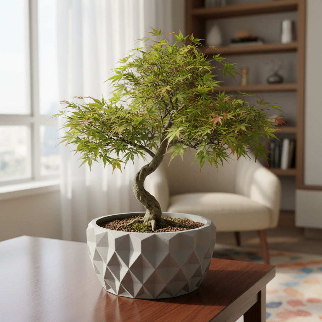 Prizma low faceted bowl with crisp geometric planes bonsai planter, top opening view