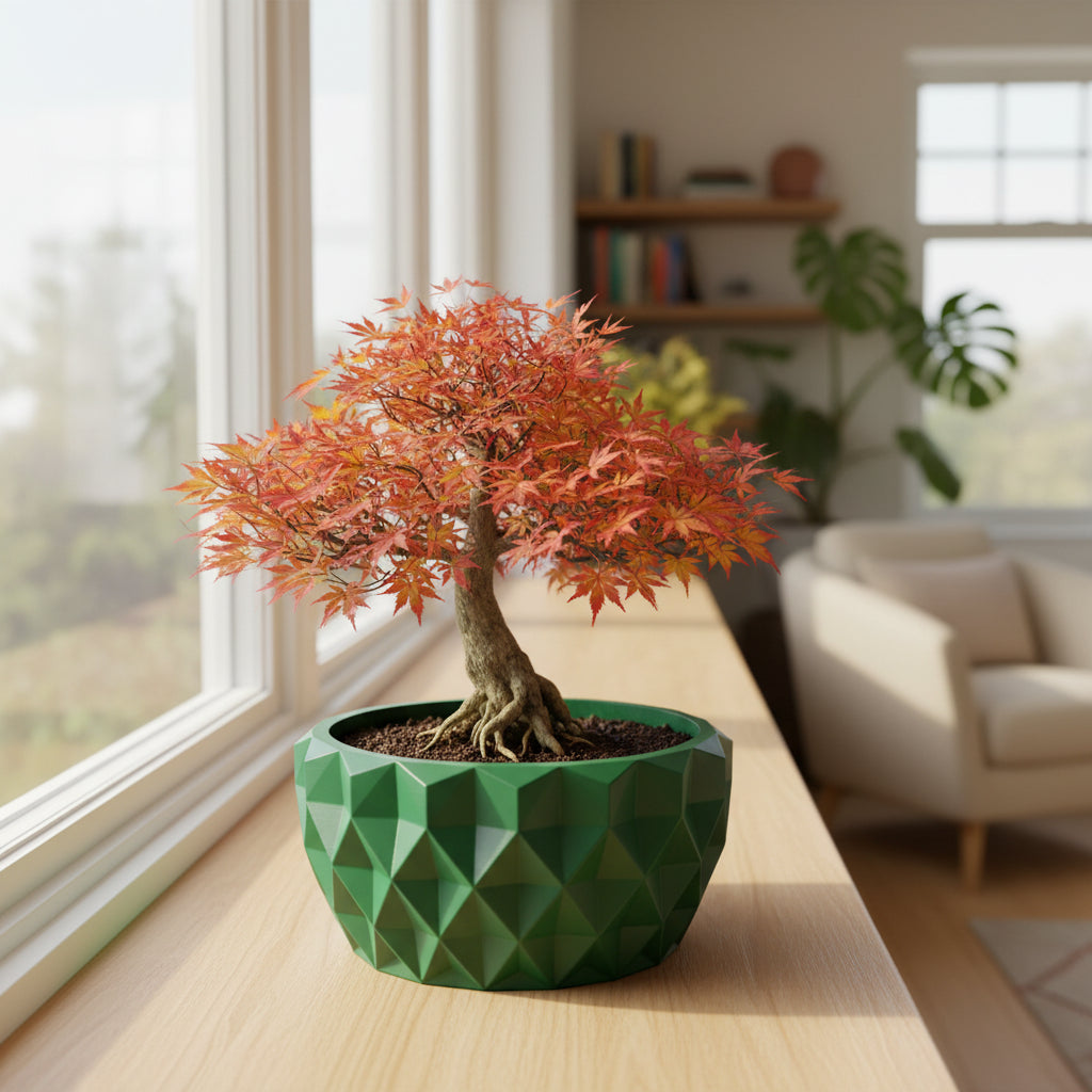 Prizma low faceted bowl with crisp geometric planes bonsai planter, front view