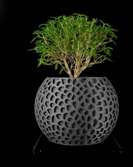 Pulp open lattice planter styled with plant