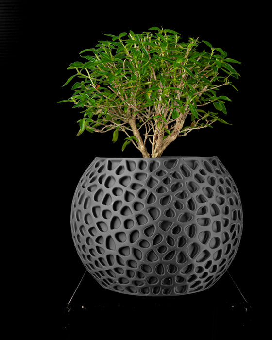 Pulp open lattice planter styled with plant