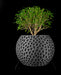 Pulp open lattice planter styled with plant
