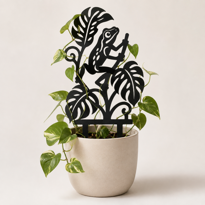 Rana frog and monstera plant trellis in a cream planter supporting a climbing pothos vine