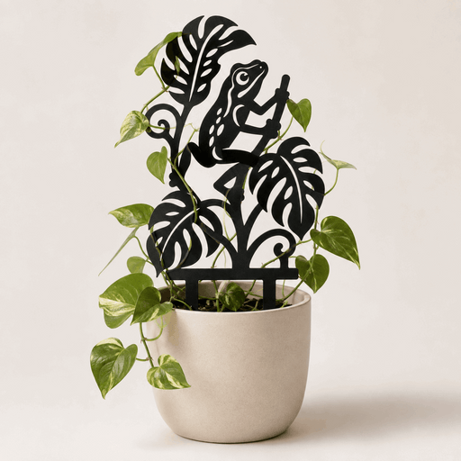 Rana frog plant trellis in a cream planter supporting a climbing pothos vine