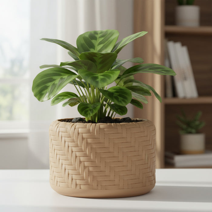 3D Printed Woven Pot "Ravena"– Textured Pot with Drainage, Eco Planter, Decorative Indoor · by Viviero3D
