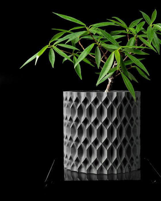 Rhon indoor planter with plant, front product view