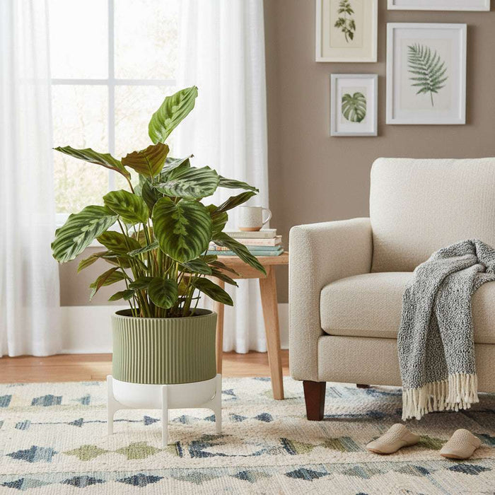 Planter pot "Rialto" – 3D Printed Ribbed Pot with Stand