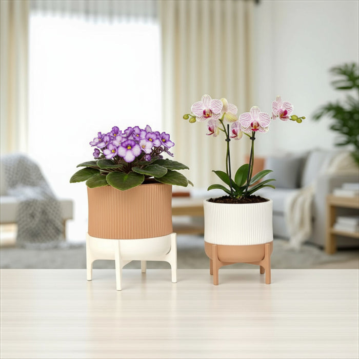 Planter pot "Rialto" – 3D Printed Ribbed Pot with Stand, Drainage Hole / No Hole, Removable Stand