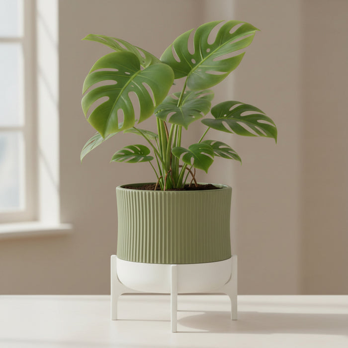 Planter pot "Rialto" – 3D Printed Ribbed Pot with Stand