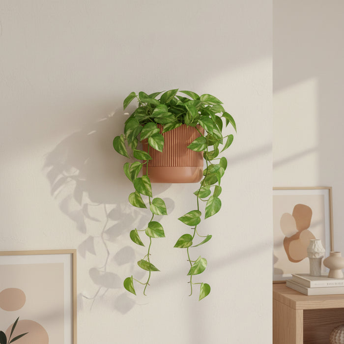 Wall Mounted Planter “Rialto” – Sculptural Ribbed Wall Planter with Two-Color Customization