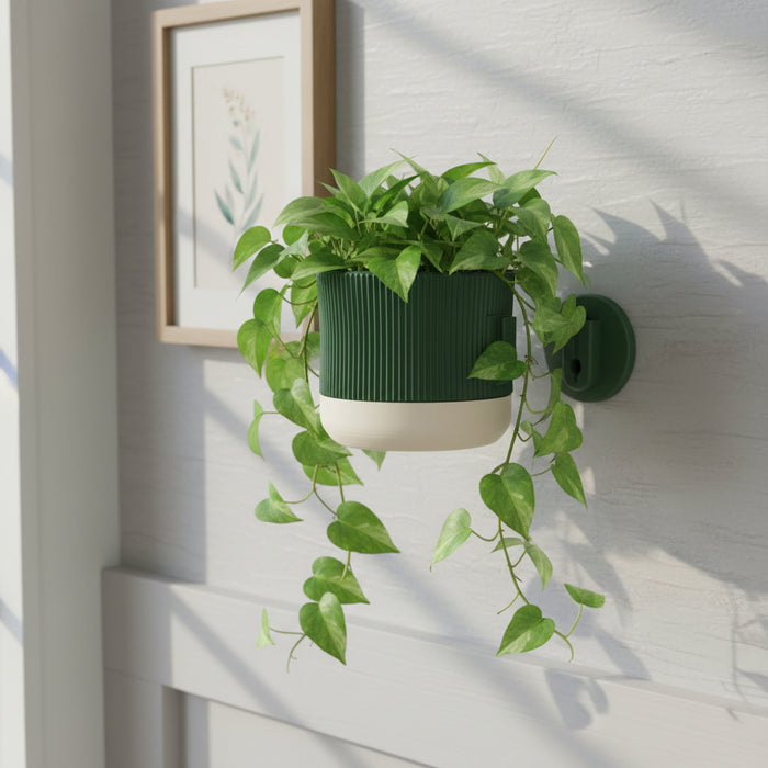 Wall Mounted Planter “Rialto” – Sculptural Ribbed Wall Planter with Two-Color Customization