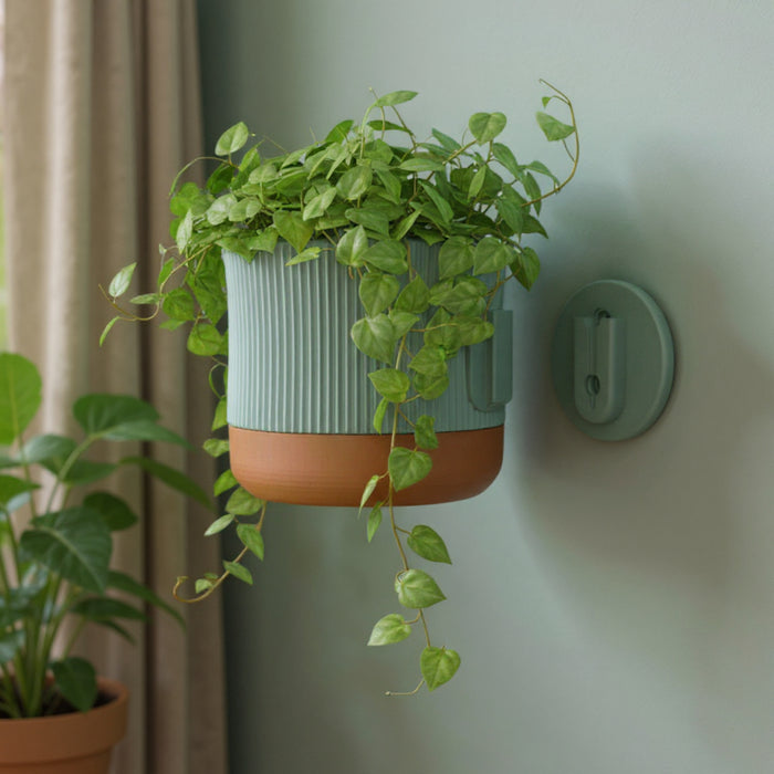 Wall Mounted Planter “Rialto” – Sculptural Ribbed Wall Planter with Two-Color Customization