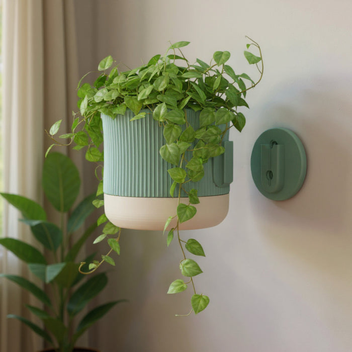 Wall Mounted Planter “Rialto” – Sculptural Ribbed Wall Planter with Two-Color Customization