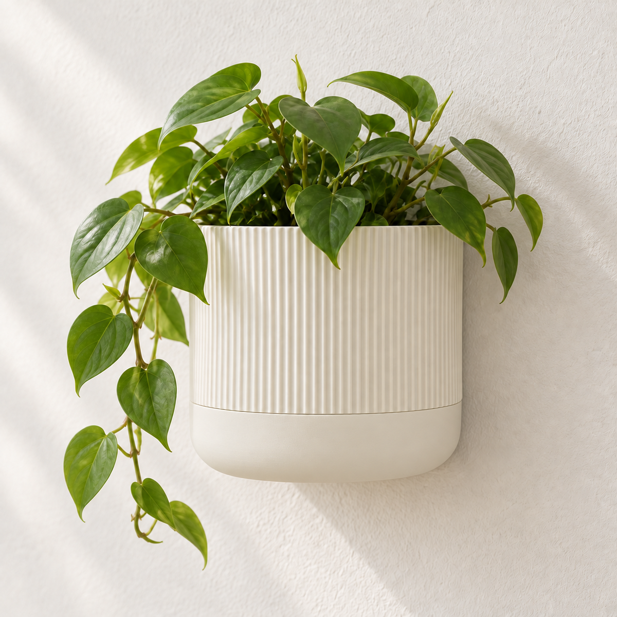 Cream Rialto wall planter with vertical ribs, a smooth rounded lower section and trailing green leaves.