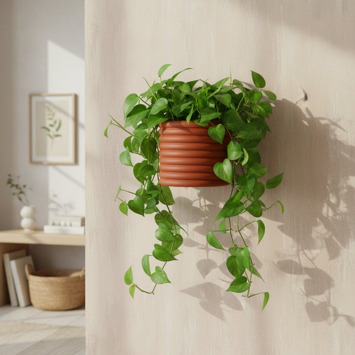 Wall Planter "Rilo" | Wall Mounted Plant Pot with Drainage Option
