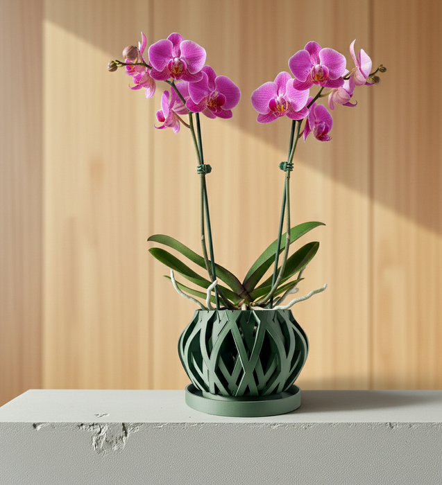 Woven Orchid Pot "Rimo" • 3D Printed Basketweave Planter with Drainage Saucer • Sage Green Airflow Decor