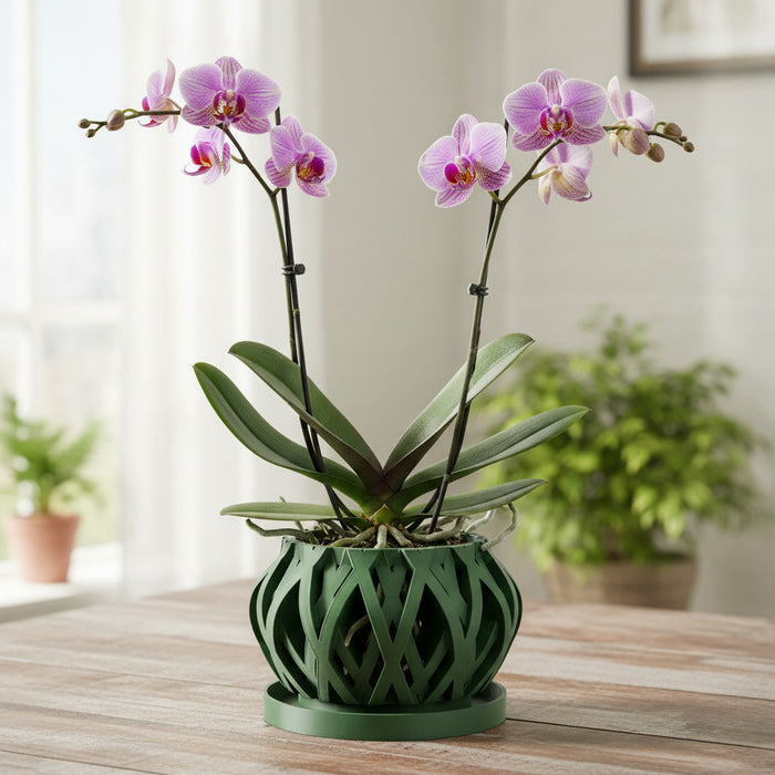 Woven Orchid Pot "Rimo" • 3D Printed Basketweave Planter with Drainage Saucer • Sage Green Airflow Decor