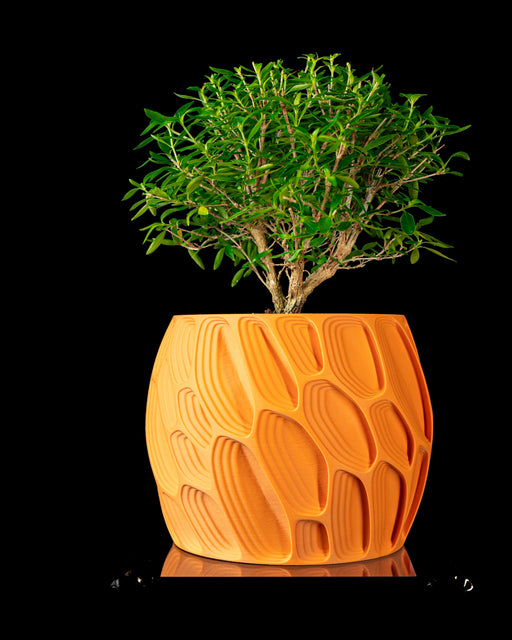 Ringo indoor planter styled with compact tree