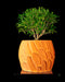 Ringo indoor planter styled with compact tree