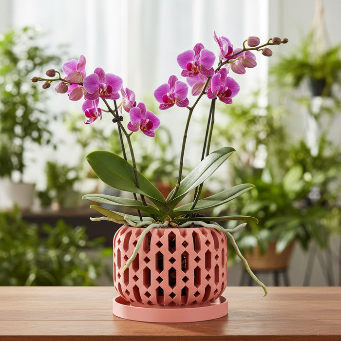 Orchid Pot "Ritar" eco-friendly, drainage |  color & size options