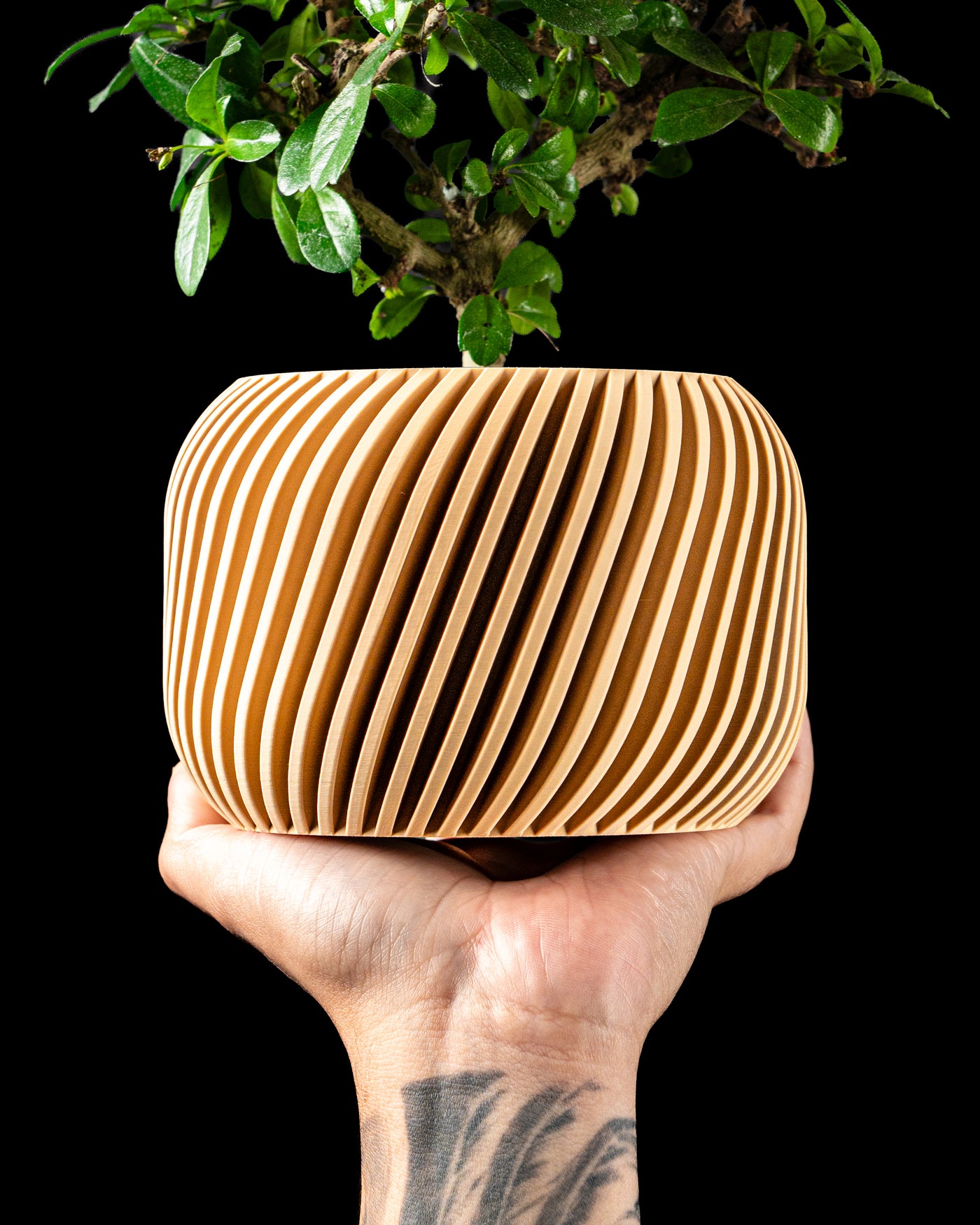 Rivo low-profile round planter showing sweeping diagonal ribs