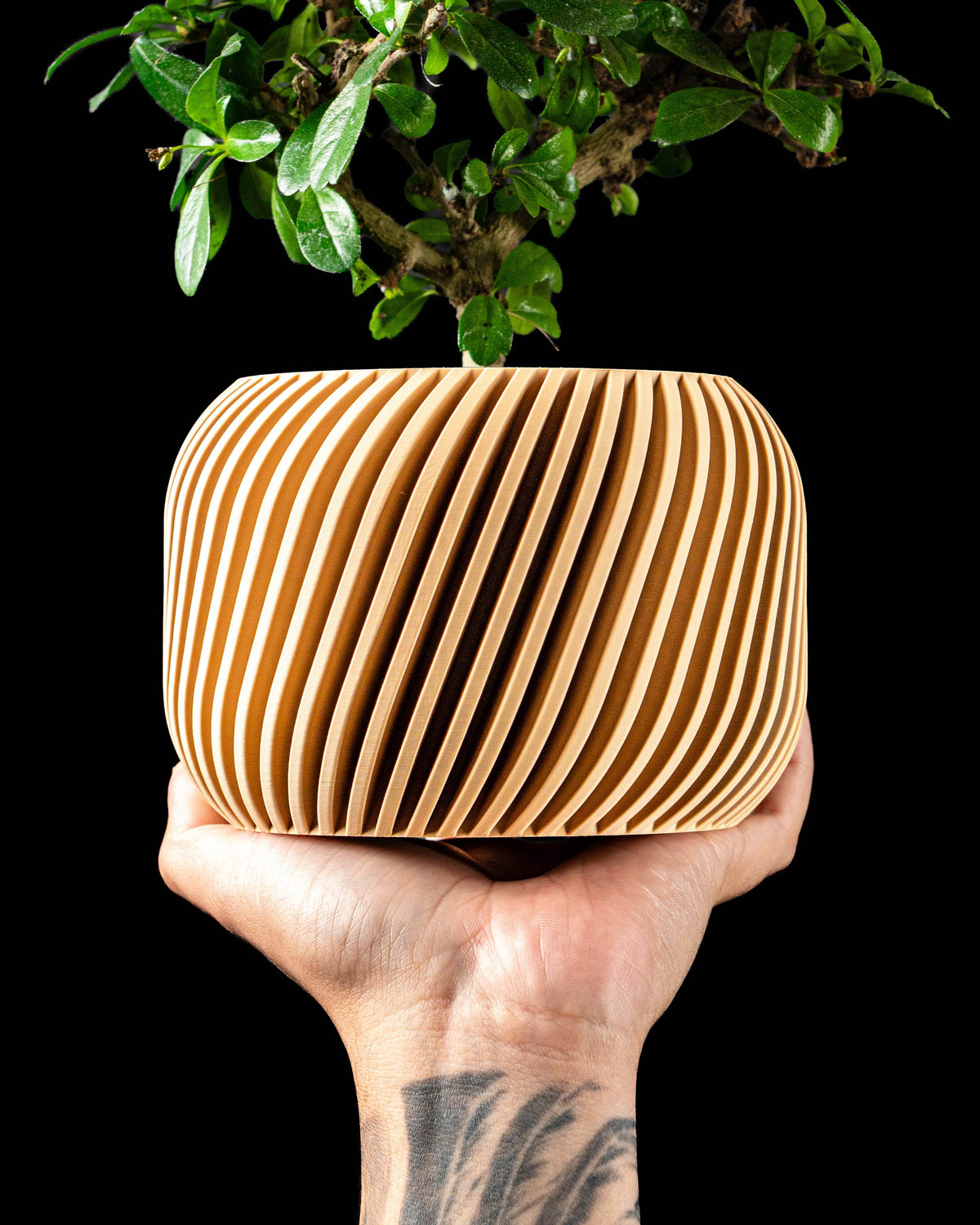 Rivo low-profile round planter showing sweeping diagonal ribs
