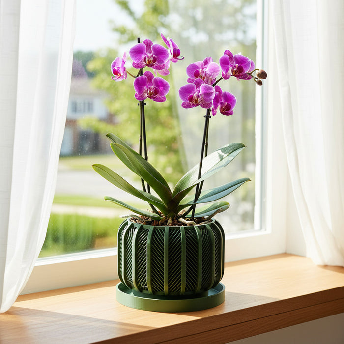 Orchid Pot "Rodex" eco-friendly, drainage |  color & size options