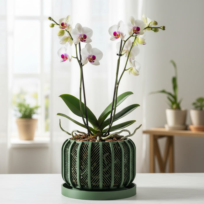 Orchid Pot "Rodex" eco-friendly, drainage |  color & size options