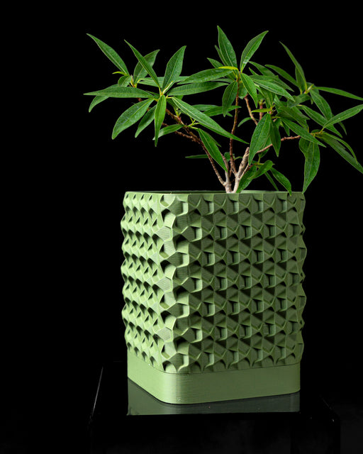 Rovi textured square planter with plant, front product view
