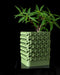 Rovi textured square planter with plant, front product view