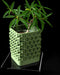 Rovi planter angled view showing square planting opening