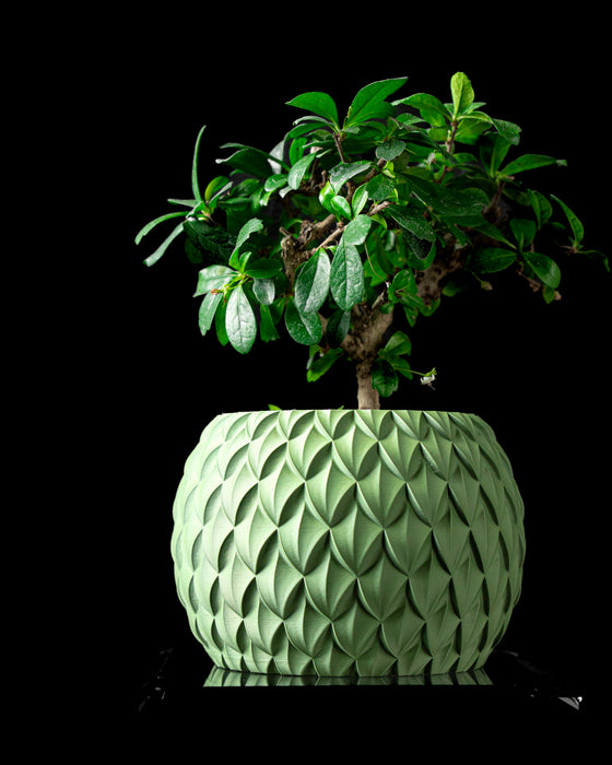 Scale decorative round planter shown with an indoor plant