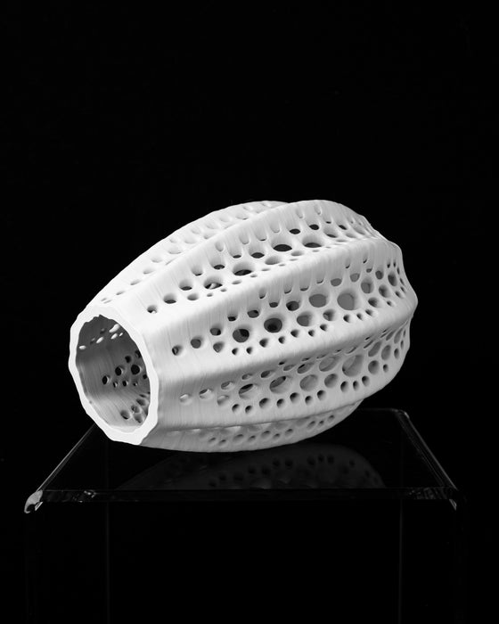 Seashell vase side view showing vertical ribs and perforations