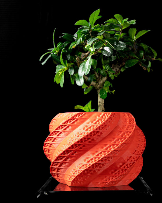 Unique planter pot crafted through 3D printing technology in coral red, supporting a lush indoor bonsai. A low planter pot with artistic detail and structural symmetry, perfect for succulents or as part of a unique home decor set. This planter pots unique design works beautifully as a gift, making it one of the most memorable indoor planters or pots and planters around.
