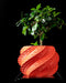 Unique planter pot crafted through 3D printing technology in coral red, supporting a lush indoor bonsai. A low planter pot with artistic detail and structural symmetry, perfect for succulents or as part of a unique home decor set. This planter pots unique design works beautifully as a gift, making it one of the most memorable indoor planters or pots and planters around.
