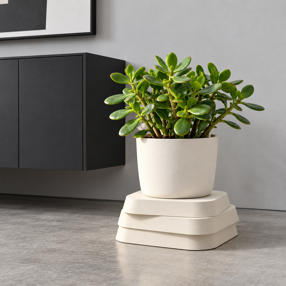 Cream white offset plant stand with a white jade planter on a gray floor beside a wall-mounted charcoal cabinet.