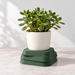 Green three-layer plant pedestal holding a white planter with a jade plant on a light tabletop.