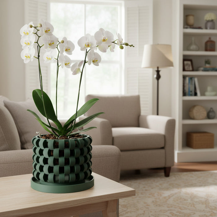 Orchid Pot "Sinol"  eco-friendly, drainage |  color & size options