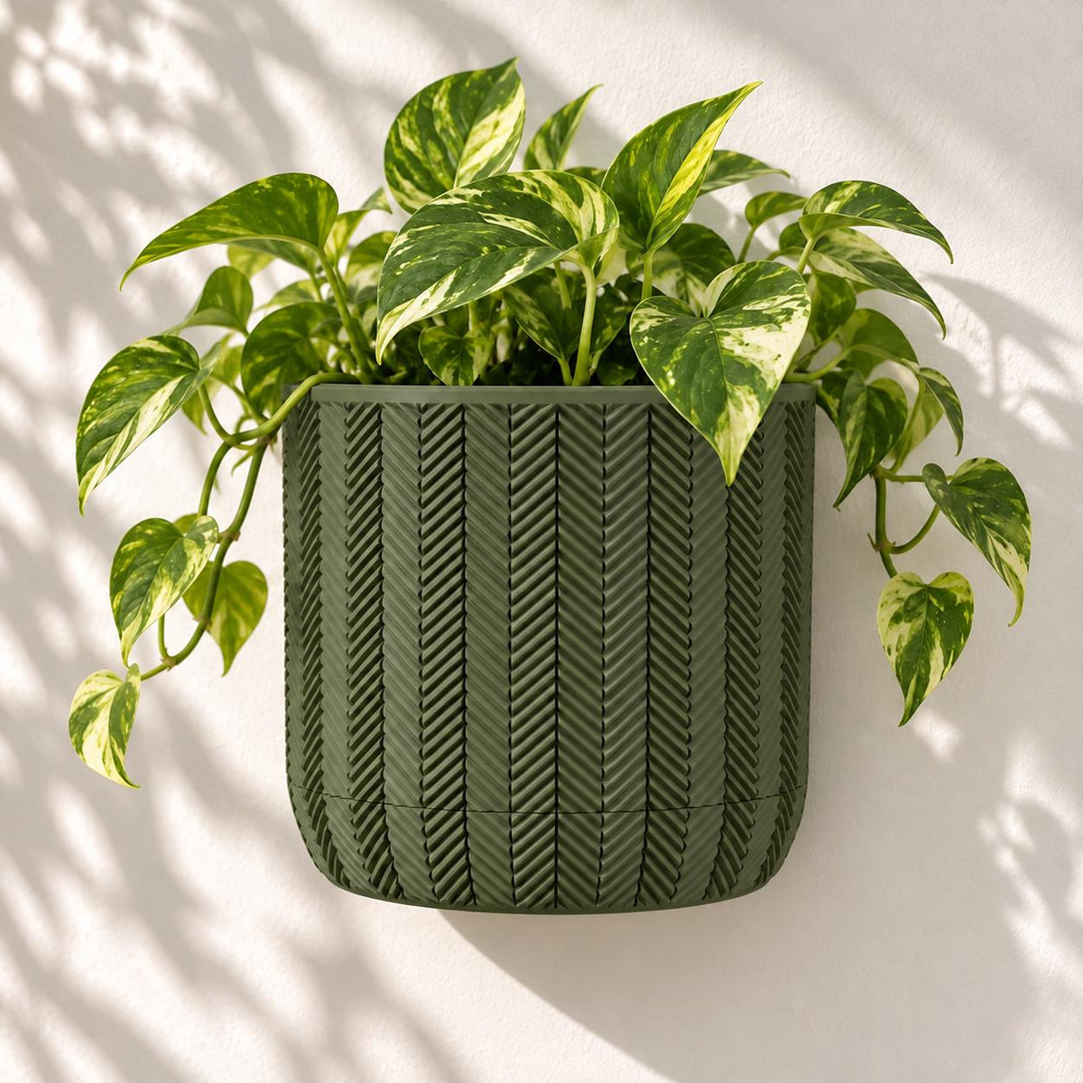 Spigo round wall planter in army green with herringbone texture and trailing pothos against a light wall.