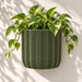 Spigo round wall planter in army green with herringbone texture and trailing pothos against a light wall.