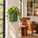 Army green Spigo wall planter with trailing pothos beside a black-framed window and leather chair.