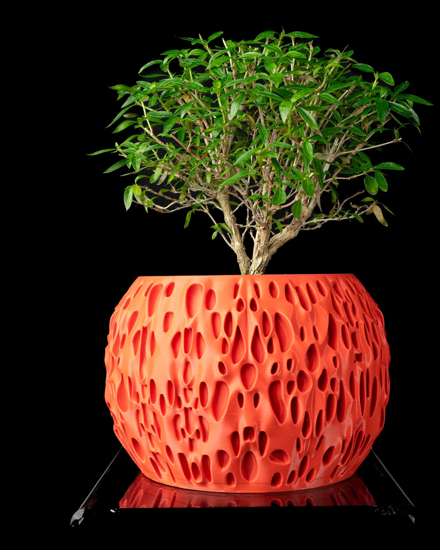 Spotted organic texture indoor planter, product view 1