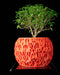 Spotted organic texture indoor planter, product view 1